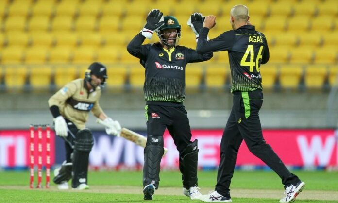 Australia win by 64 runs against New Zealand in 3rd T20I